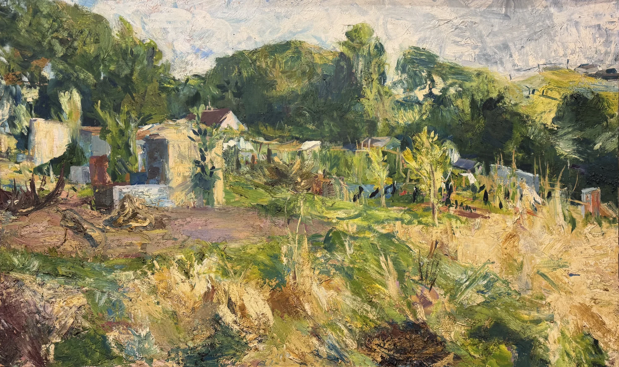 Allotments at Swan Vale, Falmouth II
